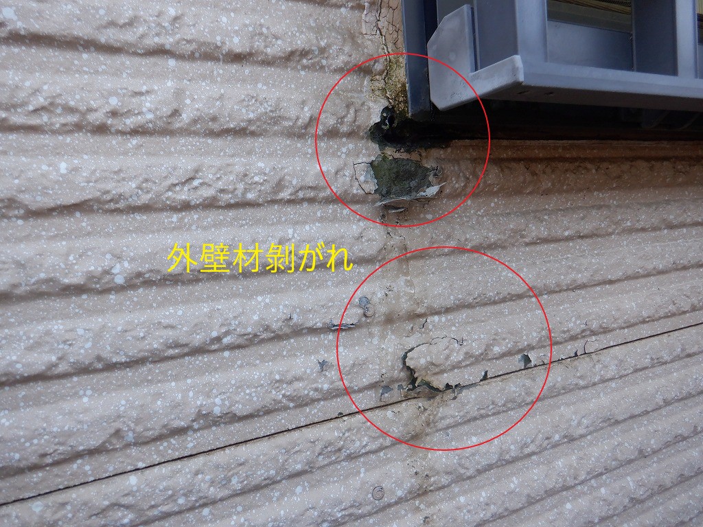 外壁材剝がれ
