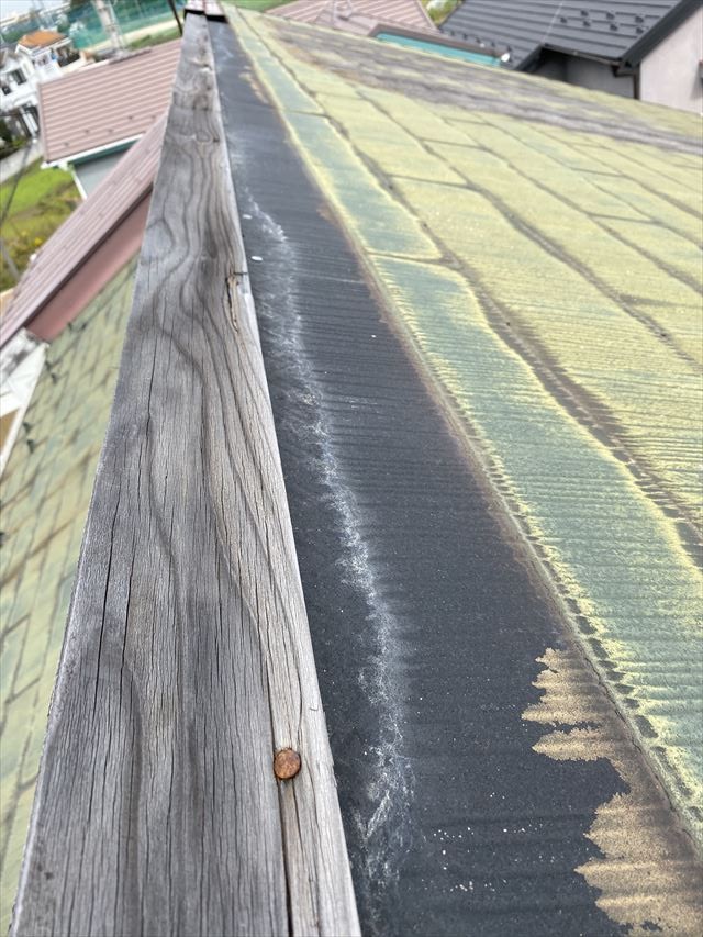 台風１９号雨漏り