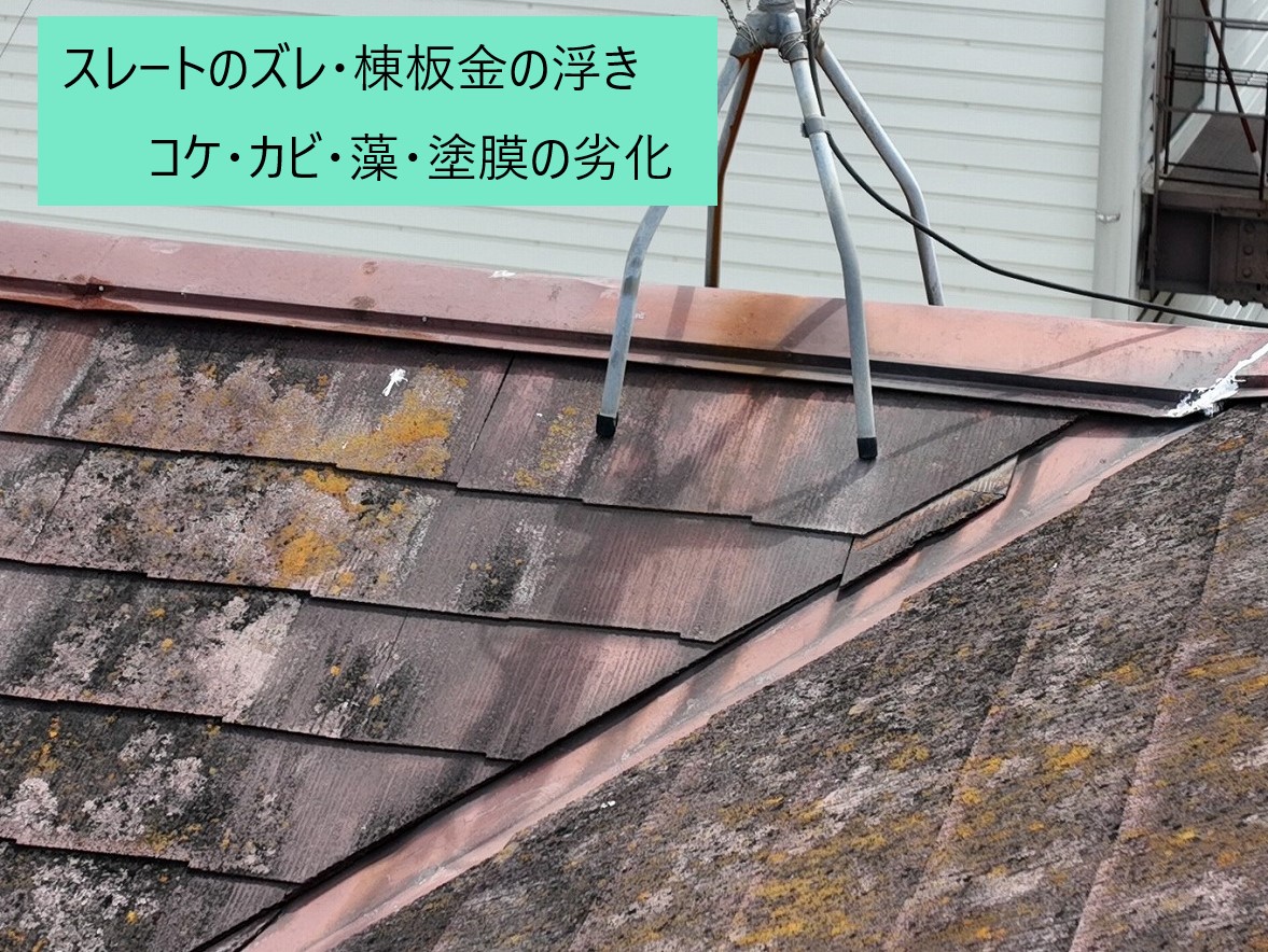 屋根の現状確認