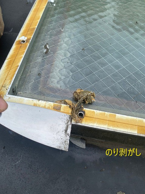 トップライト　のり剥がし