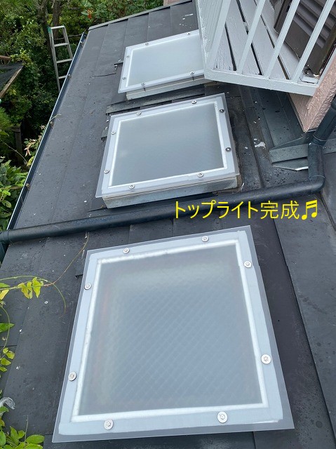 完成トップライト