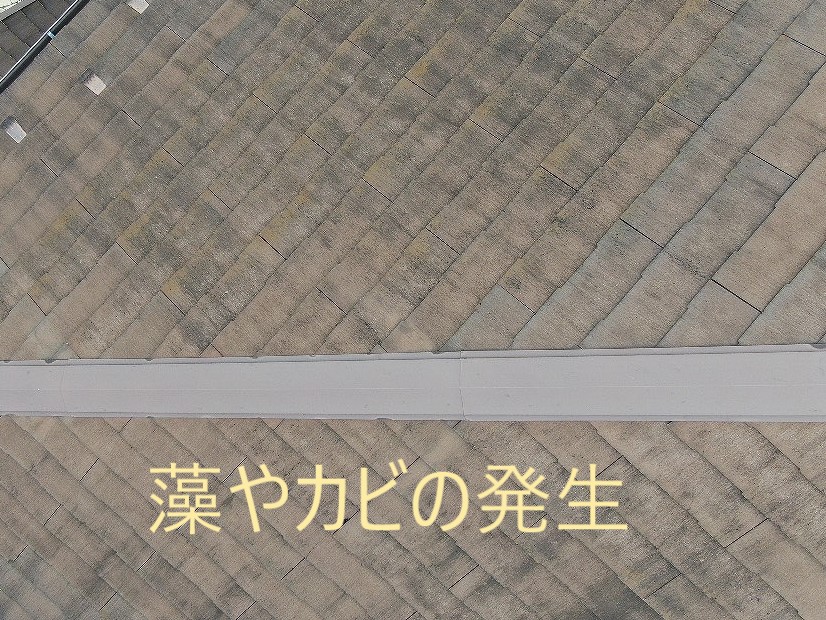 屋根のカビ・藻
