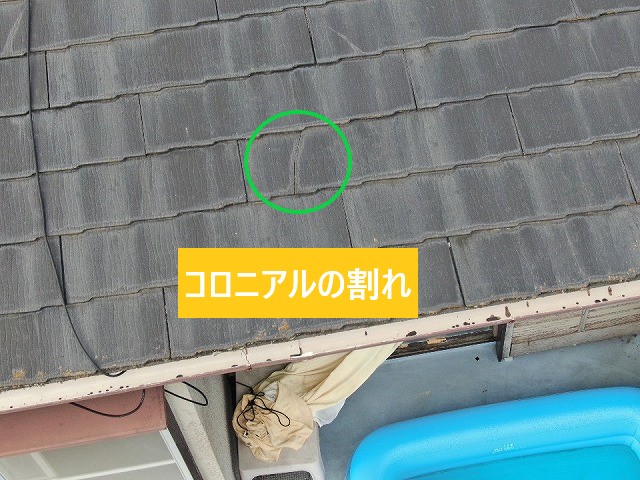 コロニアル割れ