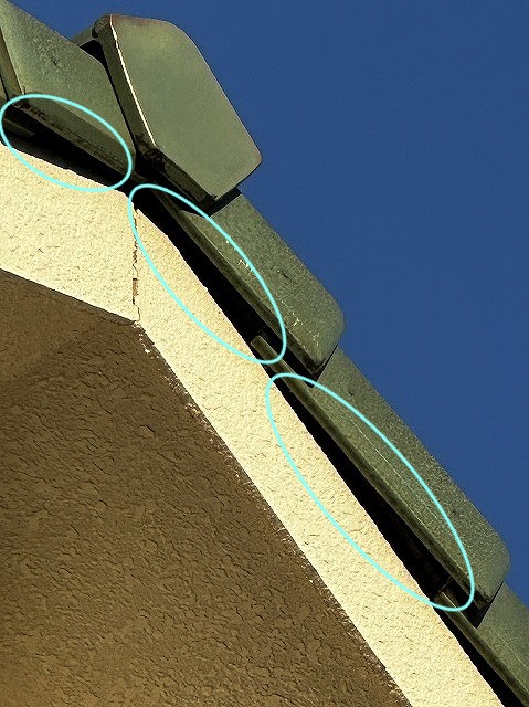 コウモリの侵入経路？