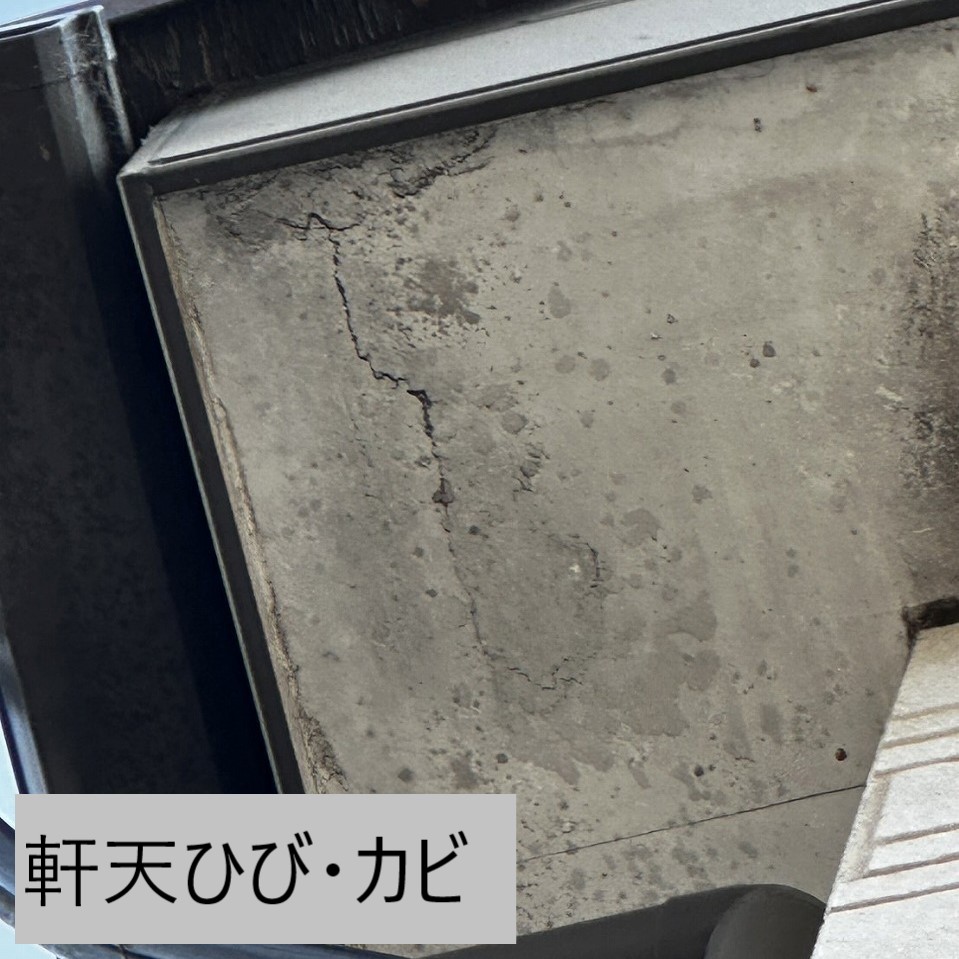 軒天のカビ・ひび