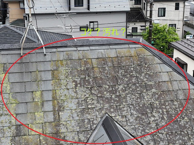 コケやカビが発生してる屋根