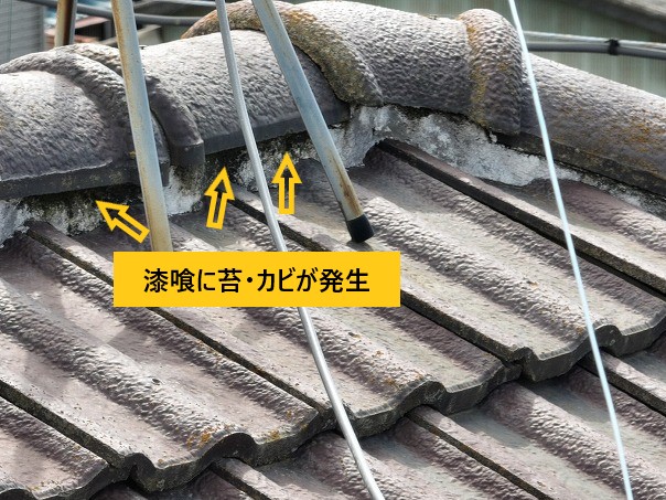 漆喰に苔・カビ発生