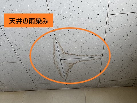 天井の雨染み