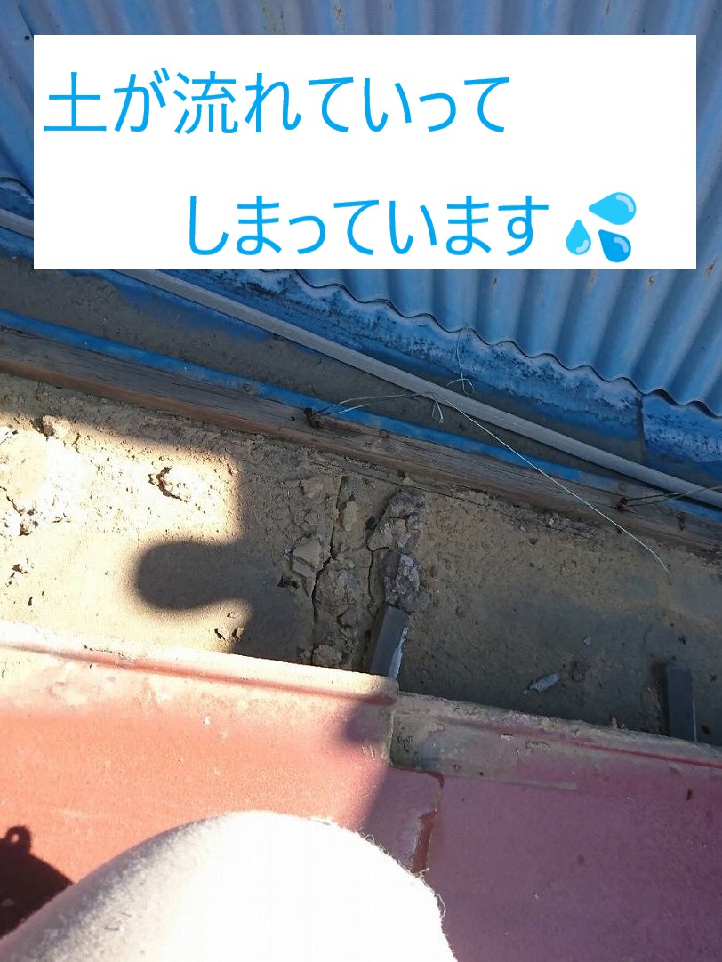 土が流れてしまっている