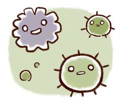 雨漏りと室内被害を防ぐ軒天修理を実施