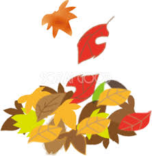 雨樋掃除　詰まりの解決法！落ち葉除けネットが大活躍