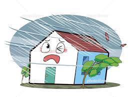 雨樋掃除は台風前に安心対策