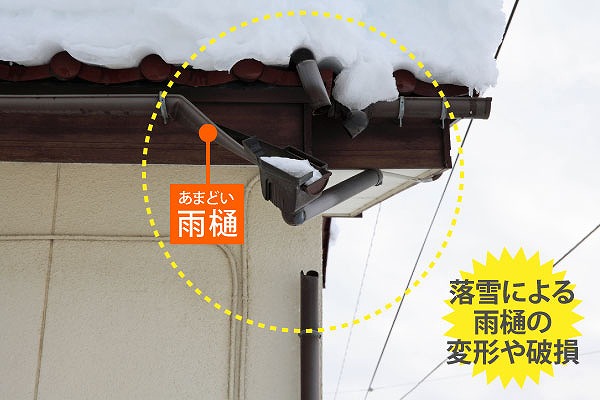 雨樋破損状況