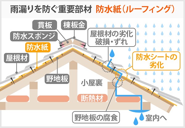 雨漏りを防ぐ重要部材、防水紙