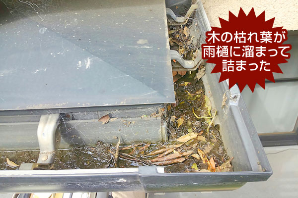 雨樋修理　雨樋を保険で直す方法をお教えします♪