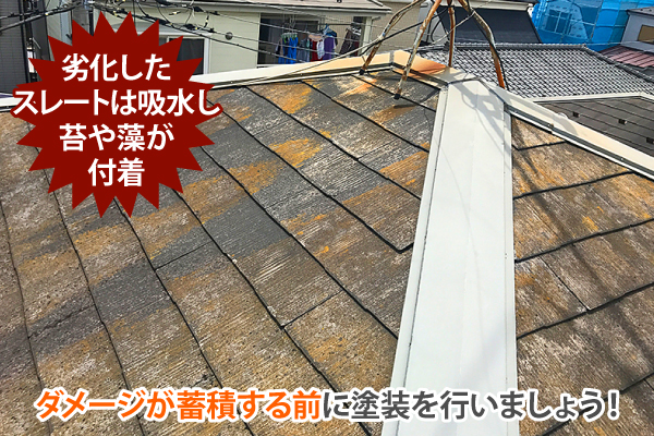 屋根塗装　劣化症状から分かる塗装のタイミングは？