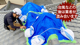 雨漏り修理　応急処置VS根本修理