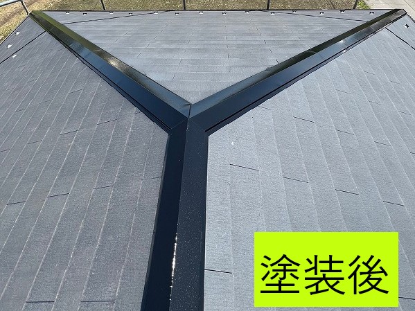 棟板金塗装後