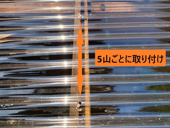 5山