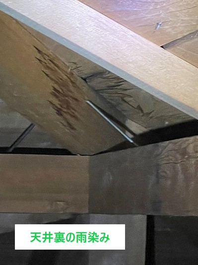 天井裏の雨染み