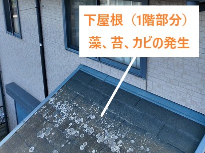下屋根部分の屋根の劣化具合