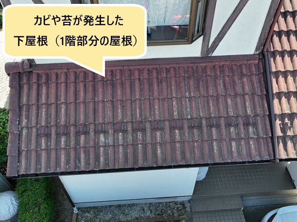 下屋根の劣化状況