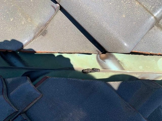 雨漏りが発生した住宅の屋根調査で谷板金が劣化してサビている様子