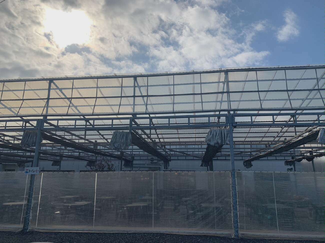 ポリカ波板を張り替える現場