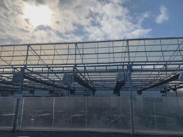 雨漏りのためポリカ波板の張り替えを行うために行った現場調査の様子