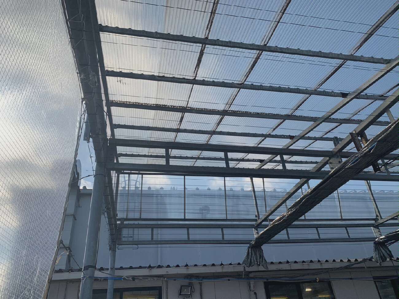 ポリカ波板の劣化状況