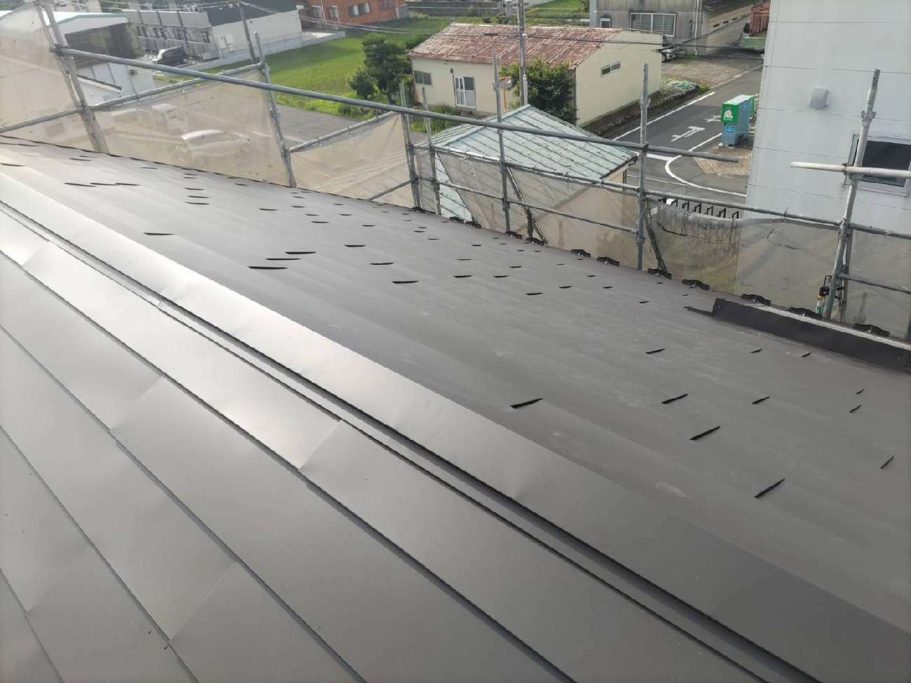 ダンネツトップ