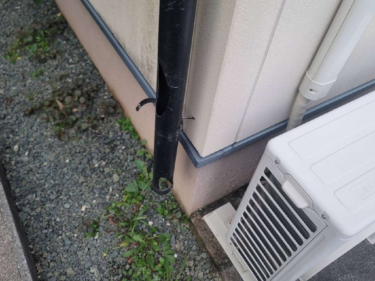 雨樋の破損