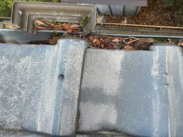 雨樋に大量の落ち葉やどんぐりが詰まっている状況