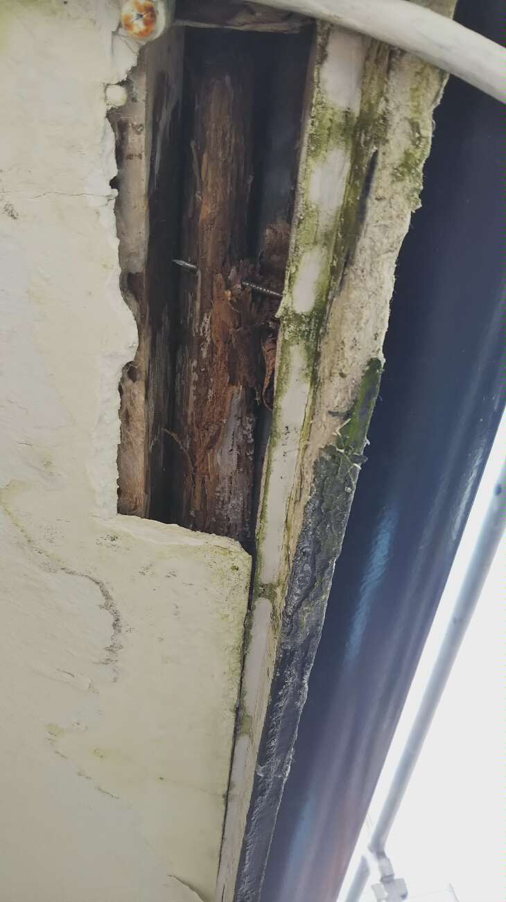 軒天内部の腐食