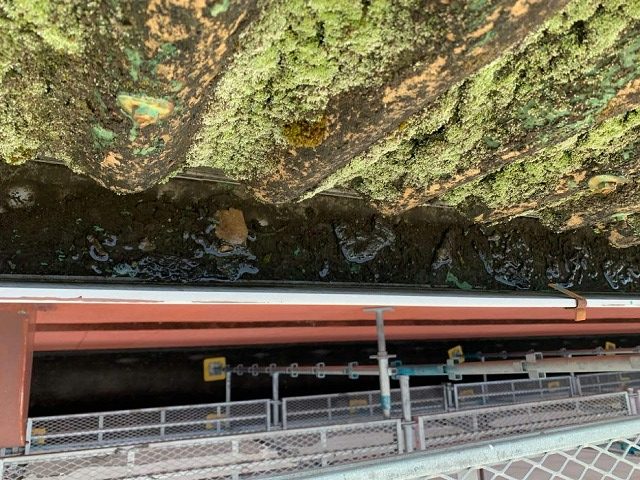 波型スレート屋根の表面に苔や藻が付着している様子