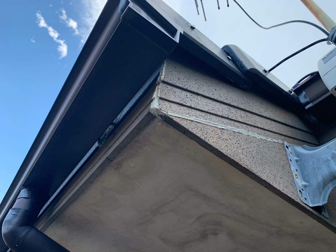 軒天に発生したカビ