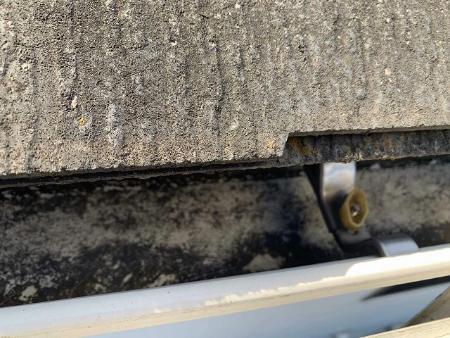 カラーベストに苔やカビが発生している状況