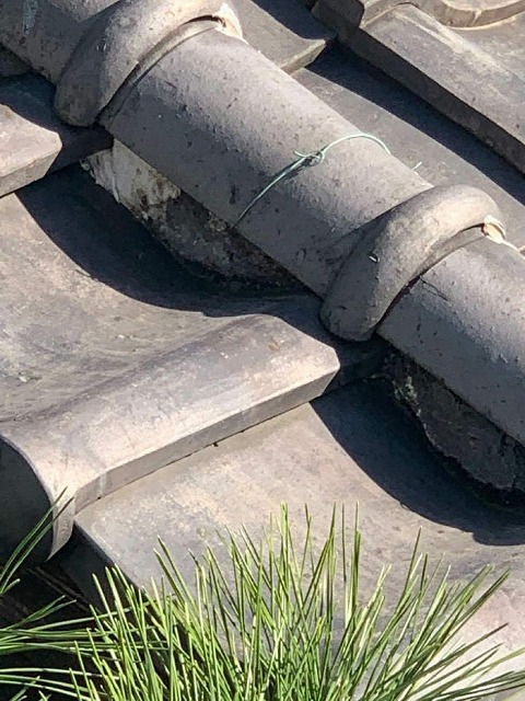 風切り丸の漆喰にダメージを確認した現場調査