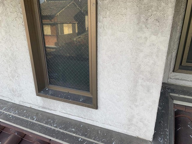 外壁に汚れやカビ、苔などが目立っている様子