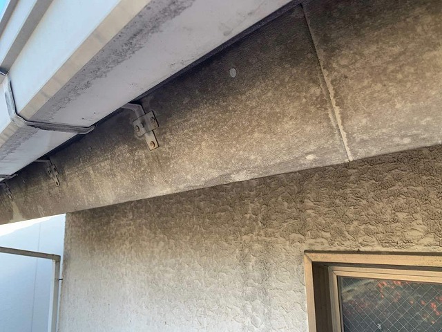 雨樋や鼻隠しに汚れやカビが発生している状況