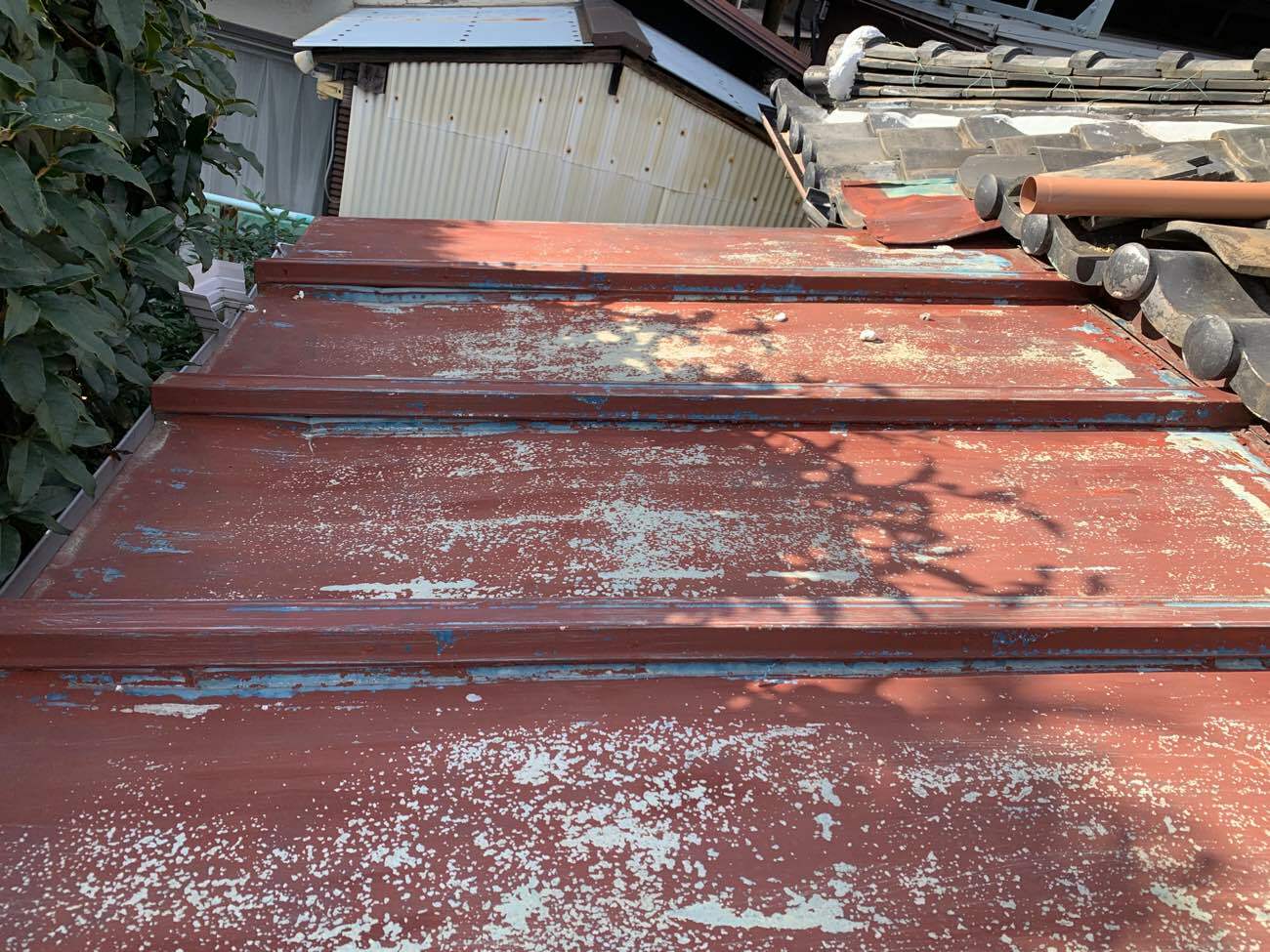 金属屋根の塗膜剥がれ
