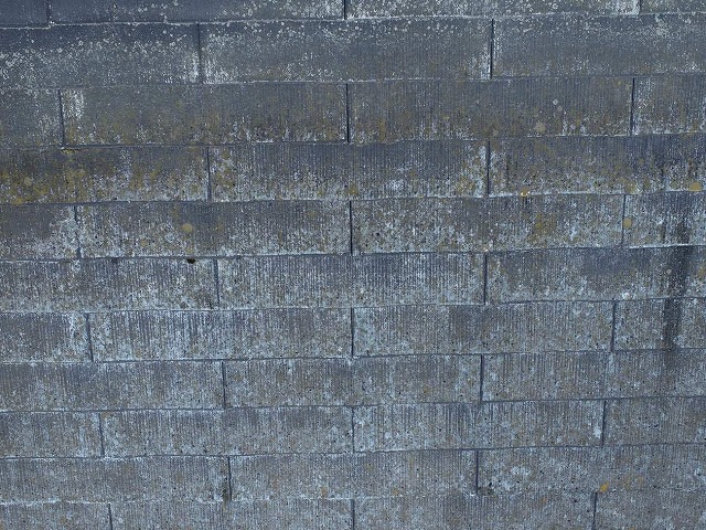 塗膜剥がれや苔、カビが見られるスレート屋根