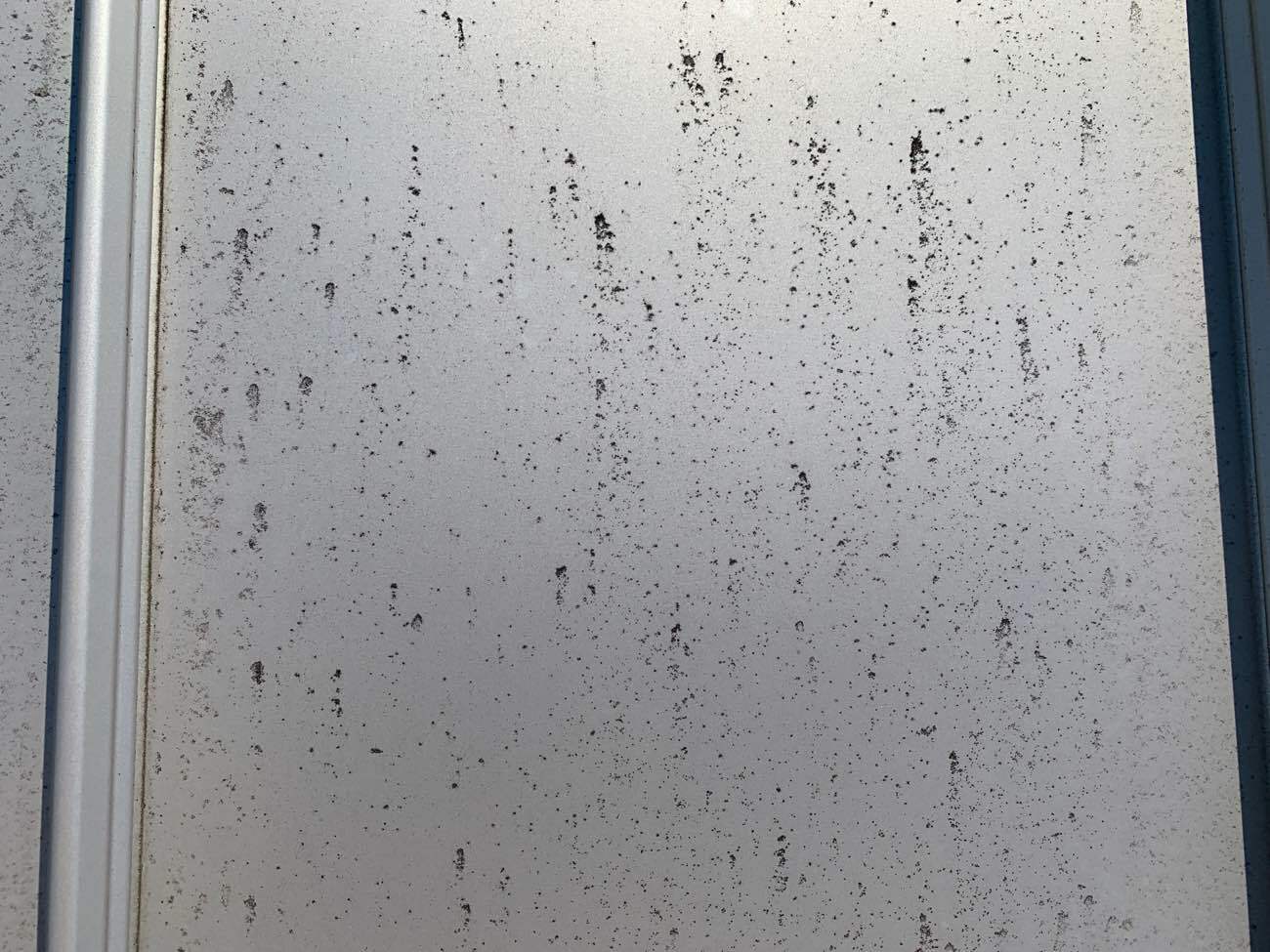 屋根に付着した汚れ