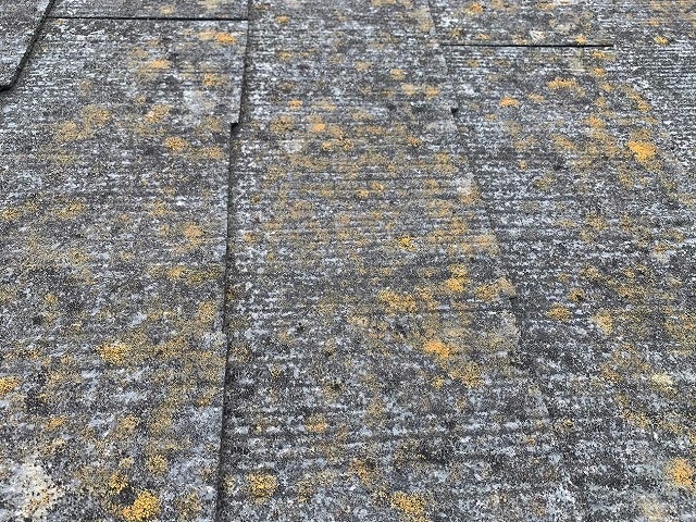 スレート屋根の塗膜の防水性が低下して苔が繁殖している様子