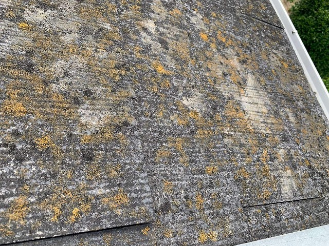 スレート屋根にトラブルリスクのある苔が発生している様子