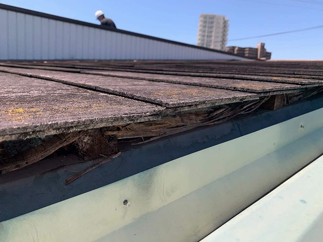 カバー工法の木下地が激しく傷んでいる状況
