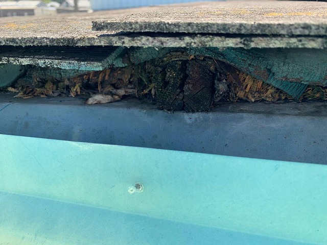 折板屋根の上に組んだ木下地が雨の影響で傷んでいる様子