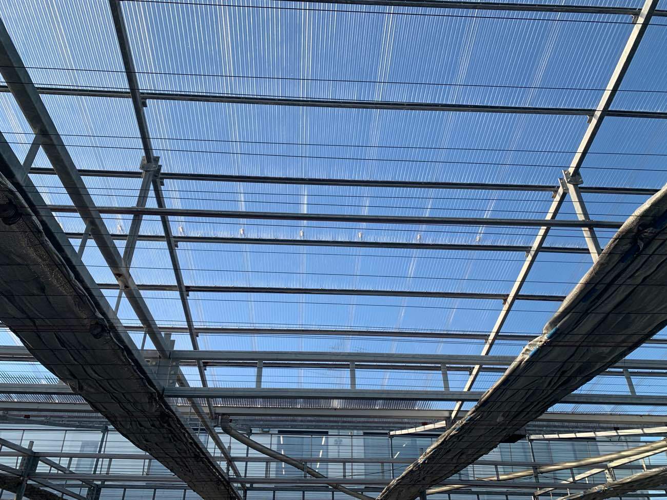 波板張り替え工事完了