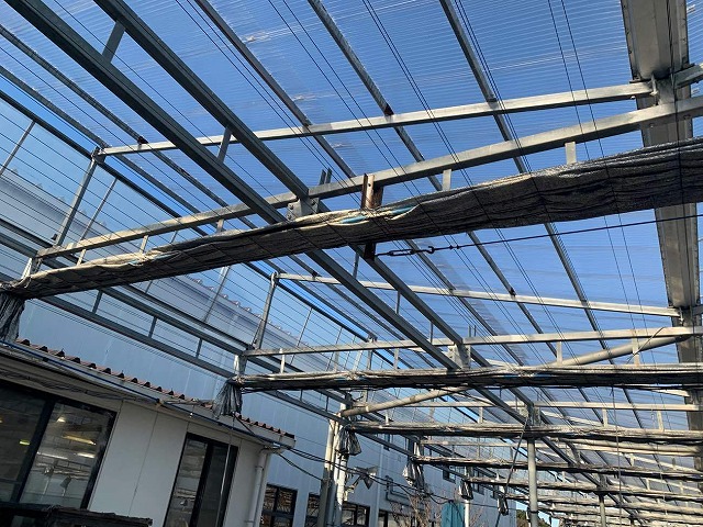 透明度の高い屋根のポリカーボネート波板の張り替えが完了