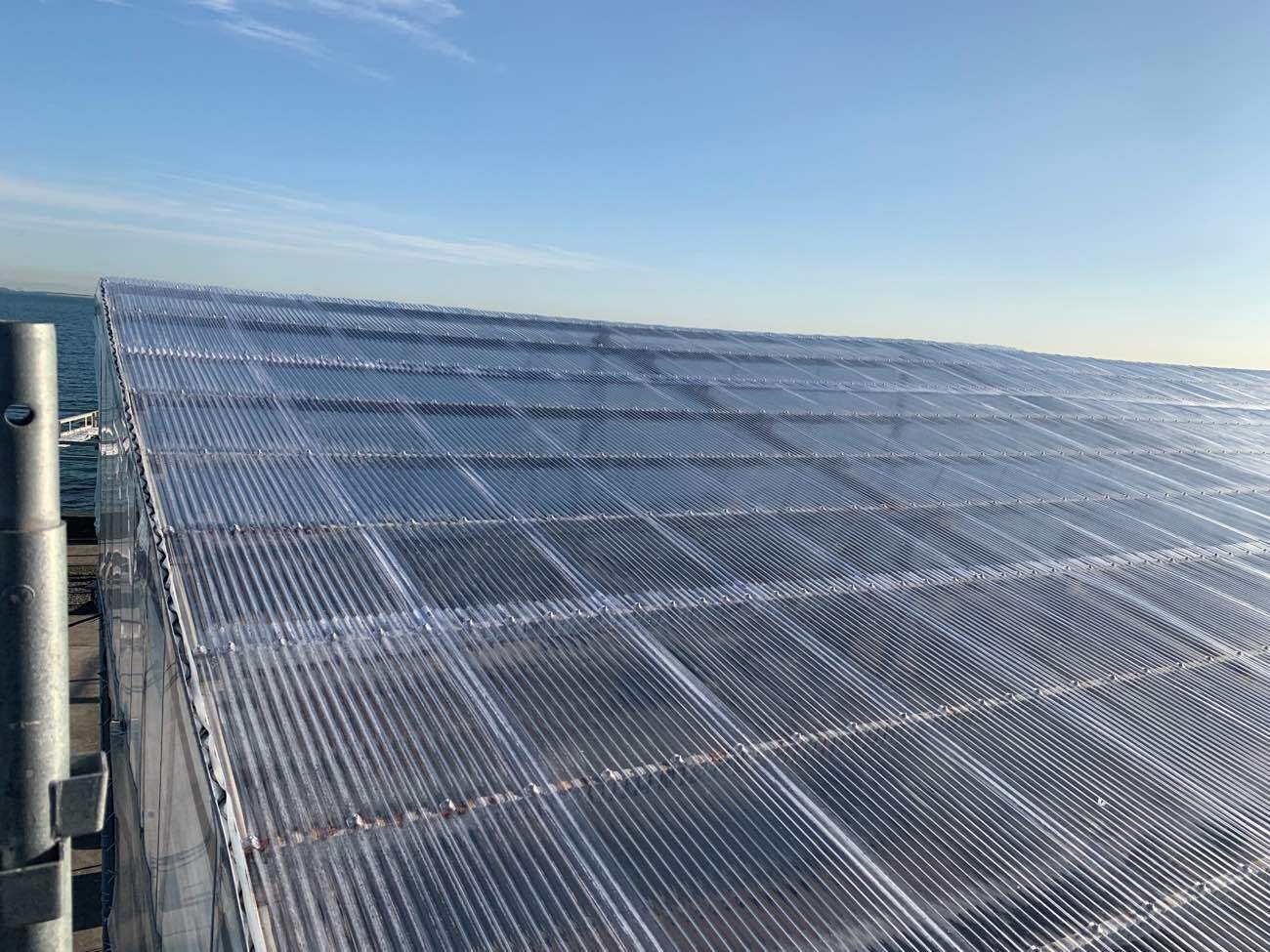 張り替え後のポリカーボネート波板